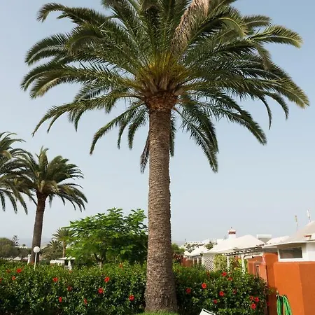 En Maspalomas, Melocotones Holiday home