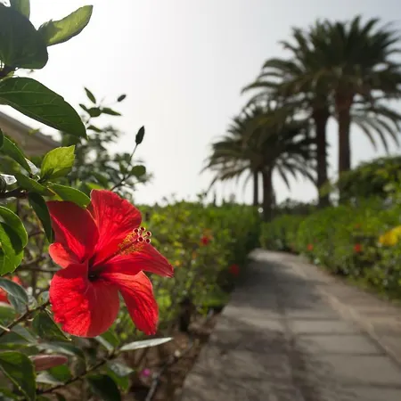 En Maspalomas, Melocotones * Playa del Ingles (Gran Canaria)